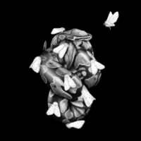 Moths ( Español)